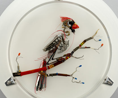 Summertime Messenger, 2026