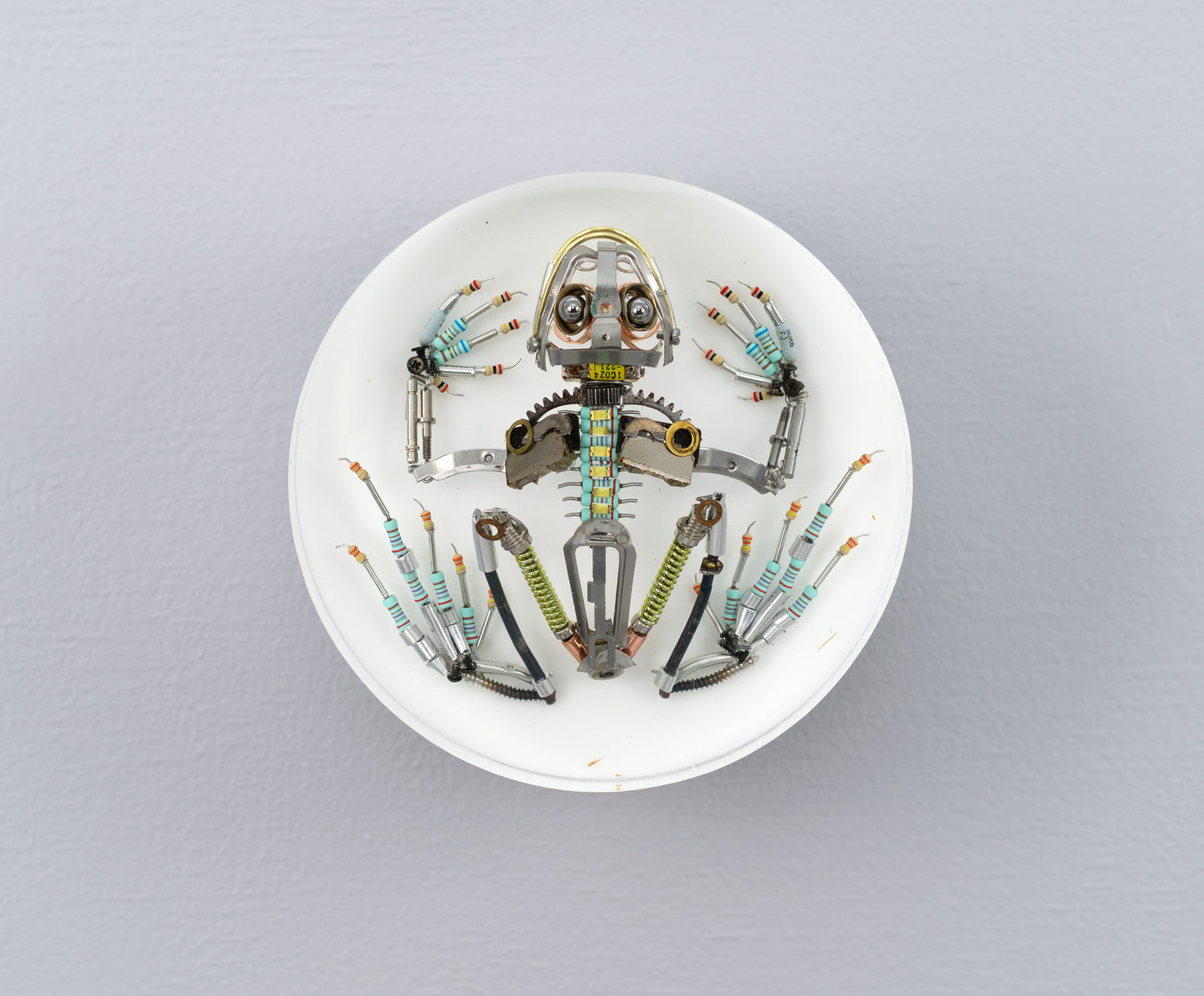 Chromoly Hopper Frog, 2026