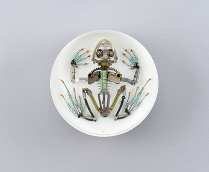 Chromoly Hopper Frog, 2026