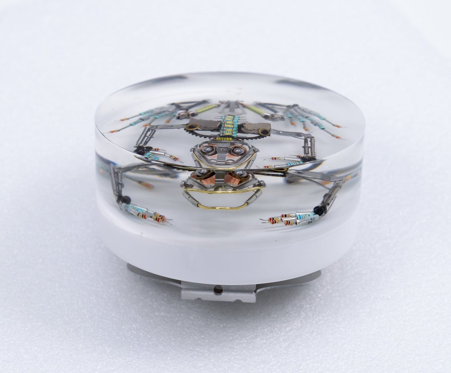 Chromoly Hopper Frog, 2026