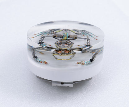 Chromoly Hopper Frog, 2026