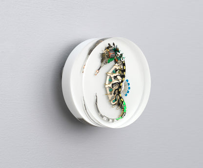 Cloisonne Seahorse, 2026