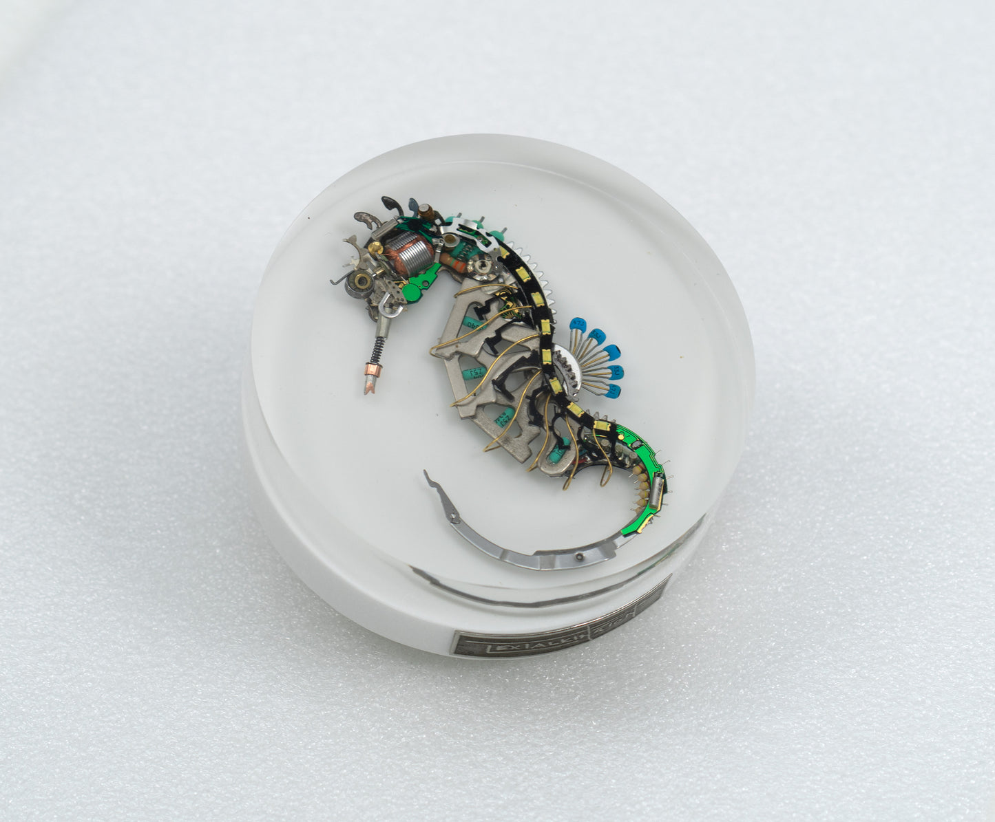 Cloisonne Seahorse, 2026