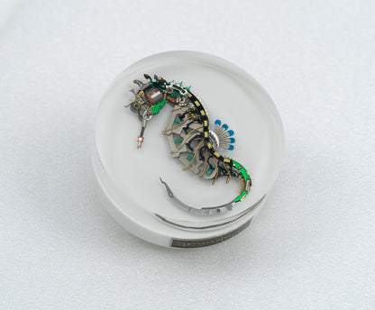 Cloisonne Seahorse, 2026