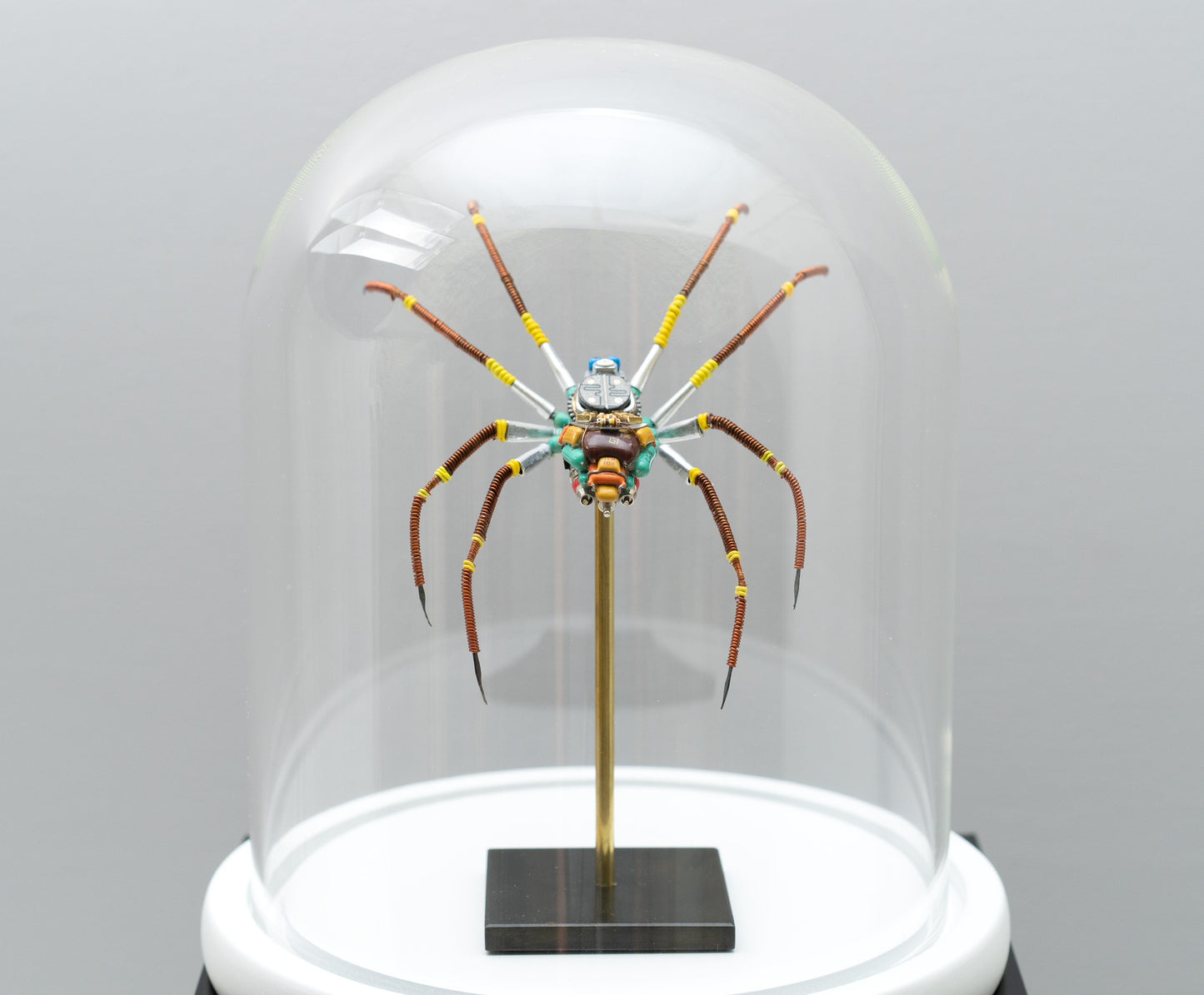 Citrus Megarachne, 2025