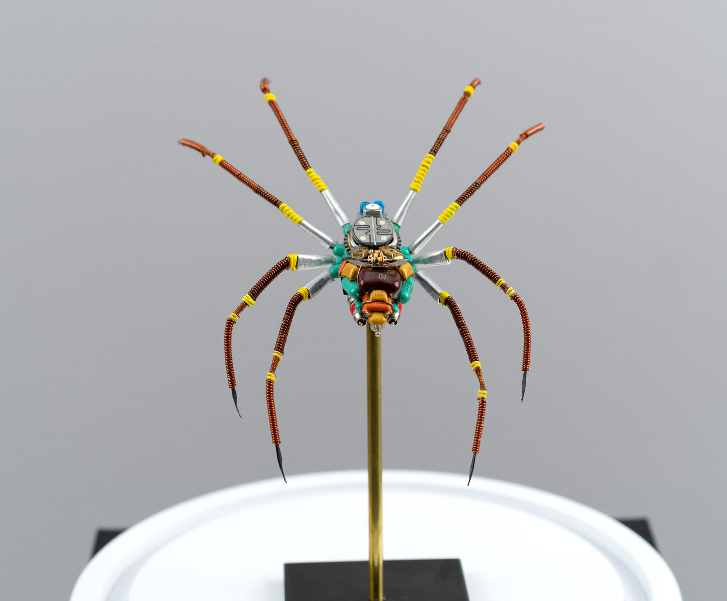 Citrus Megarachne, 2025