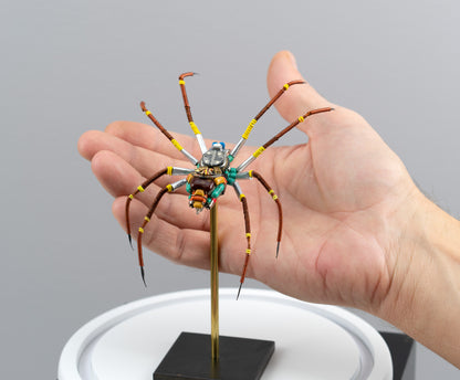 Citrus Megarachne, 2025