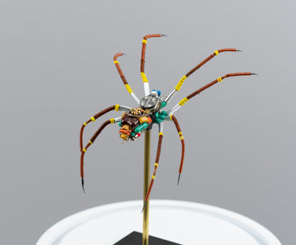 Citrus Megarachne, 2025