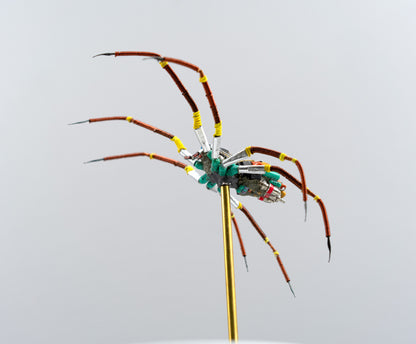 Citrus Megarachne, 2025