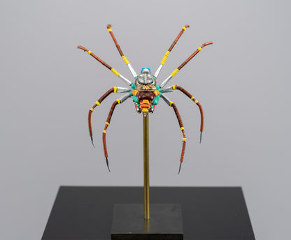 Citrus Megarachne, 2025