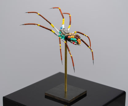 Citrus Megarachne, 2025