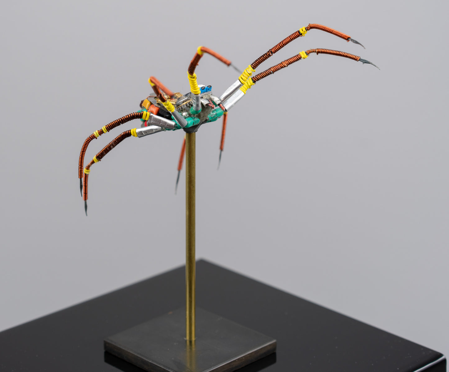 Citrus Megarachne, 2025