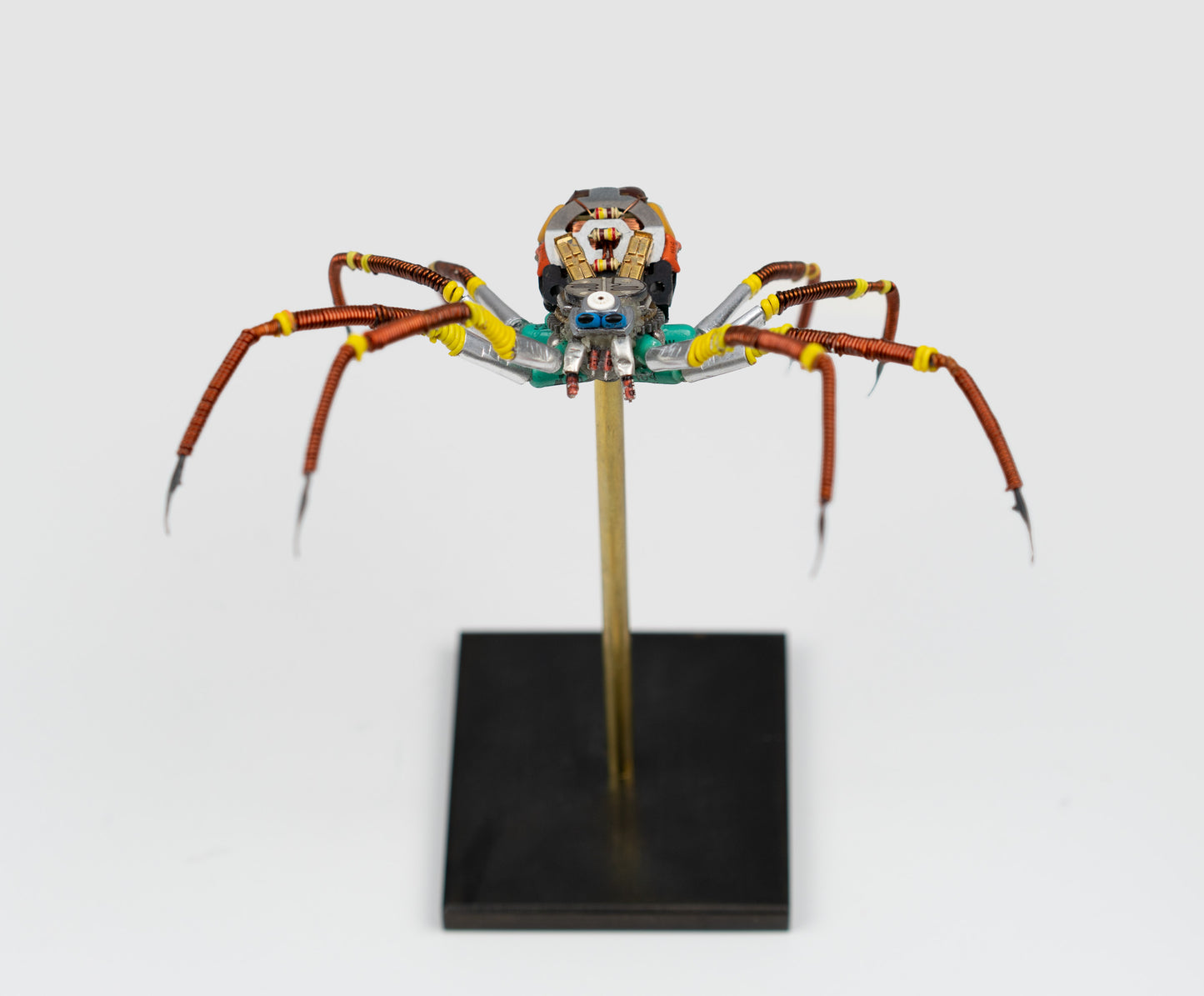 Citrus Megarachne, 2025