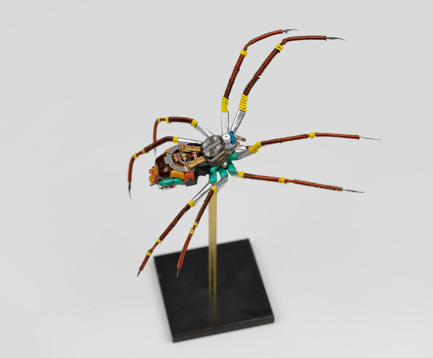 Citrus Megarachne, 2025