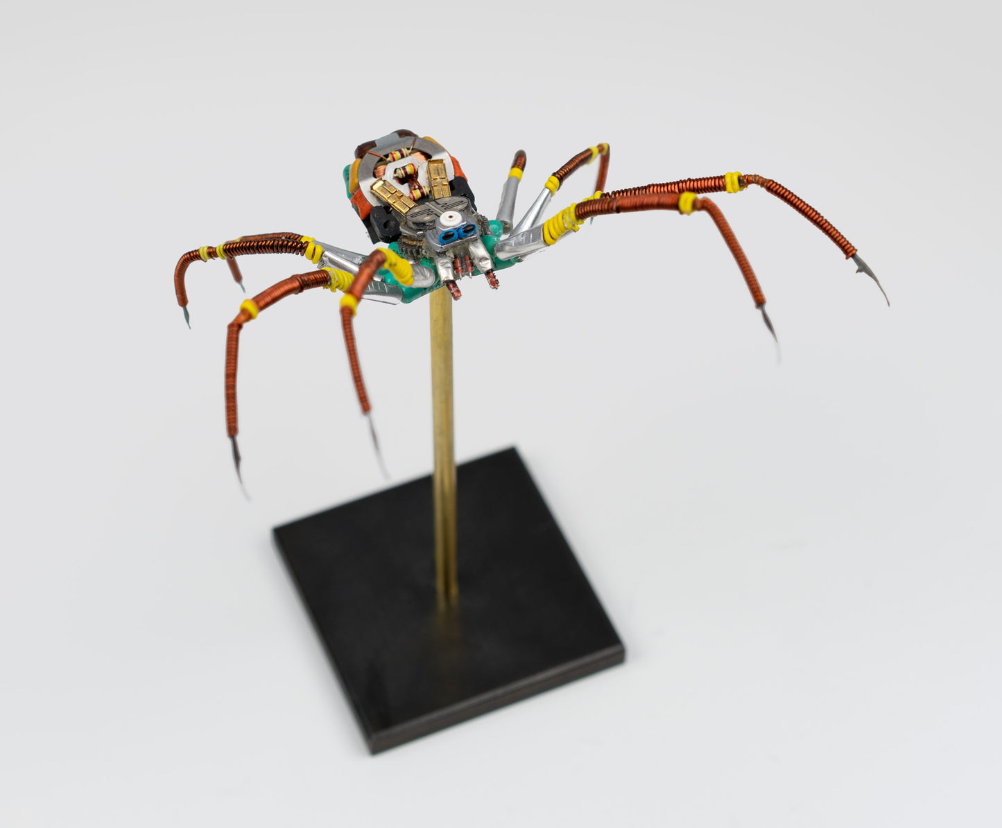 Citrus Megarachne, 2025