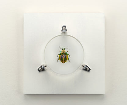 Faceted Green Scarab, 2023