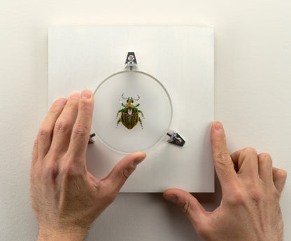 Faceted Green Scarab, 2023