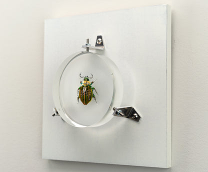 Faceted Green Scarab, 2023