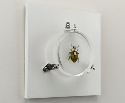 Faceted Green Scarab, 2023