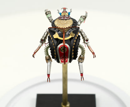 Rosette Flower Beetle, 2025