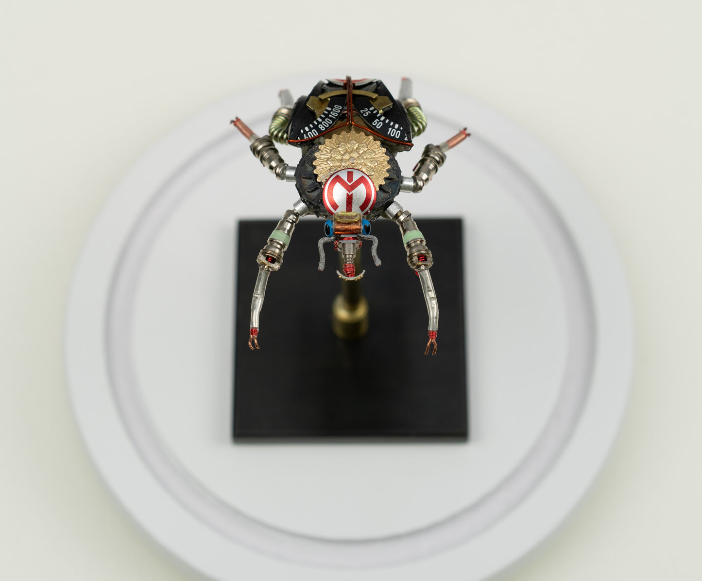 Rosette Flower Beetle, 2025