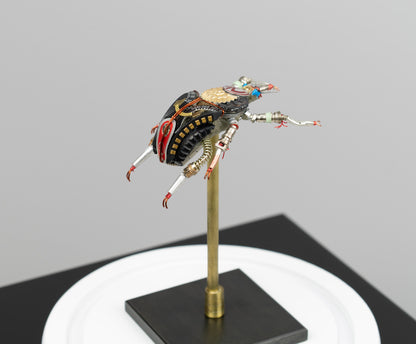 Rosette Flower Beetle, 2025