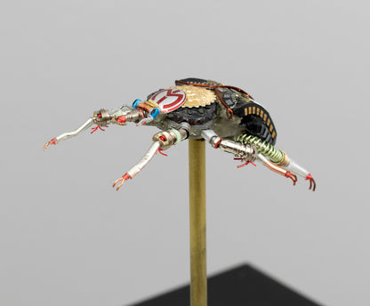 Rosette Flower Beetle, 2025