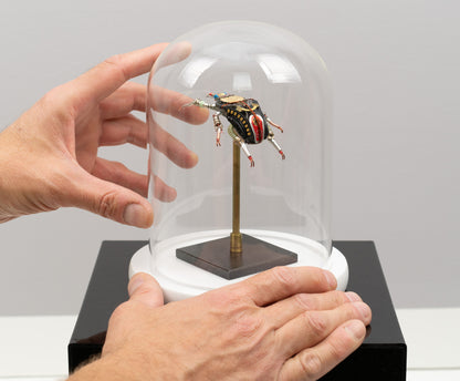 Rosette Flower Beetle, 2025