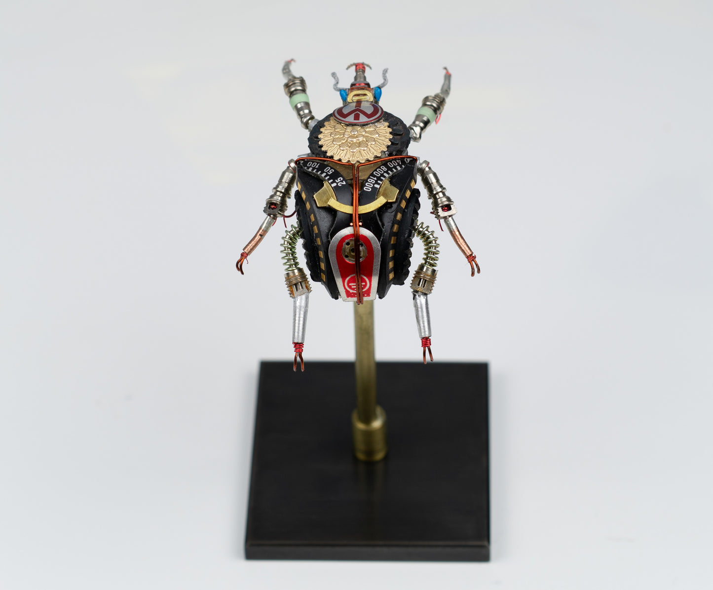 Rosette Flower Beetle, 2025