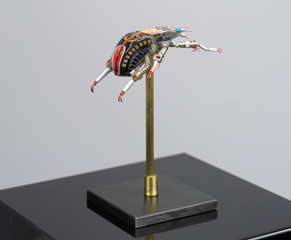 Rosette Flower Beetle, 2025