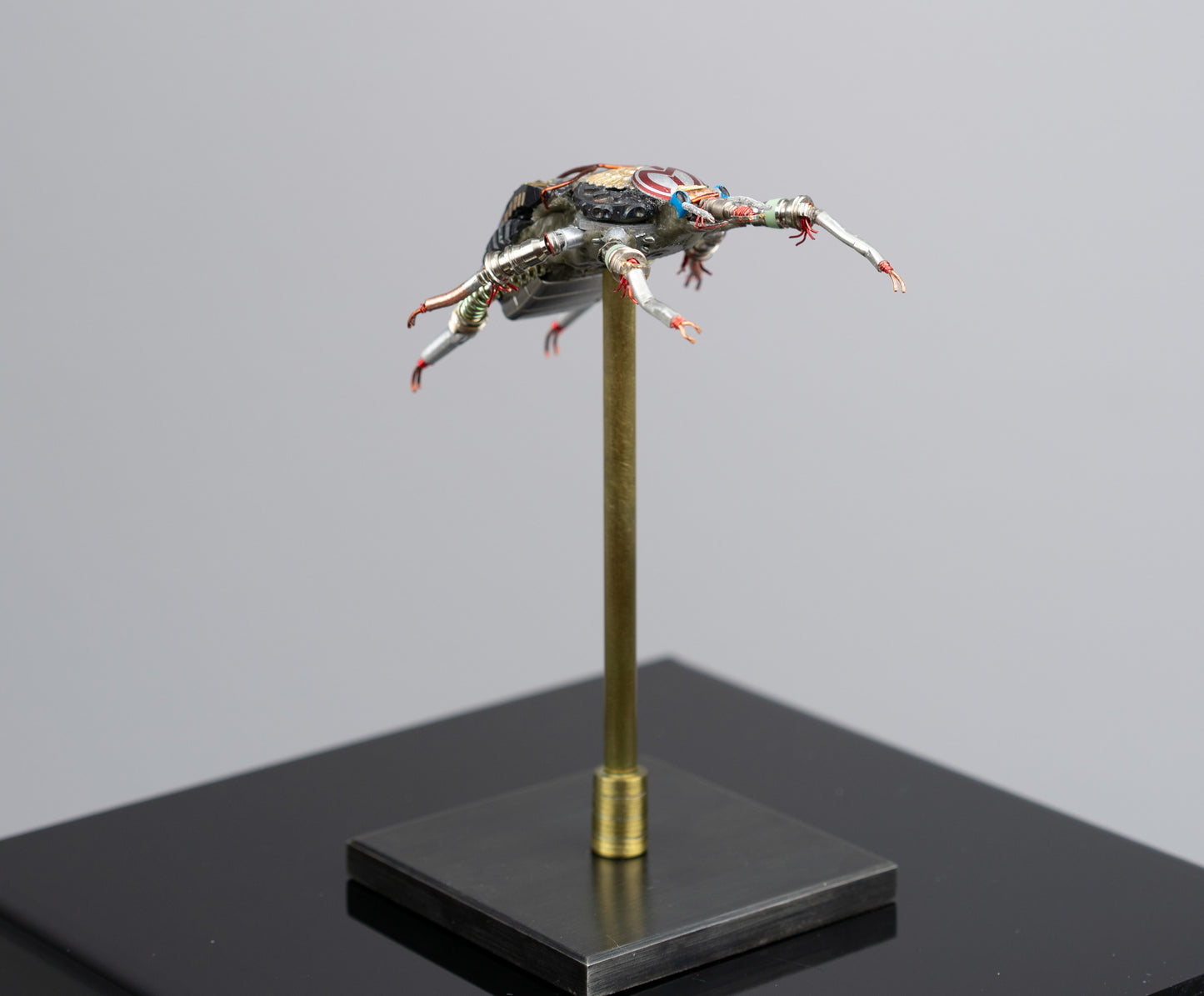 Rosette Flower Beetle, 2025