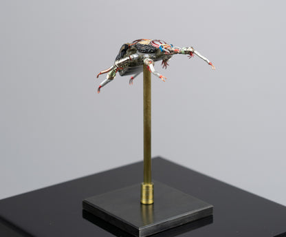 Rosette Flower Beetle, 2025