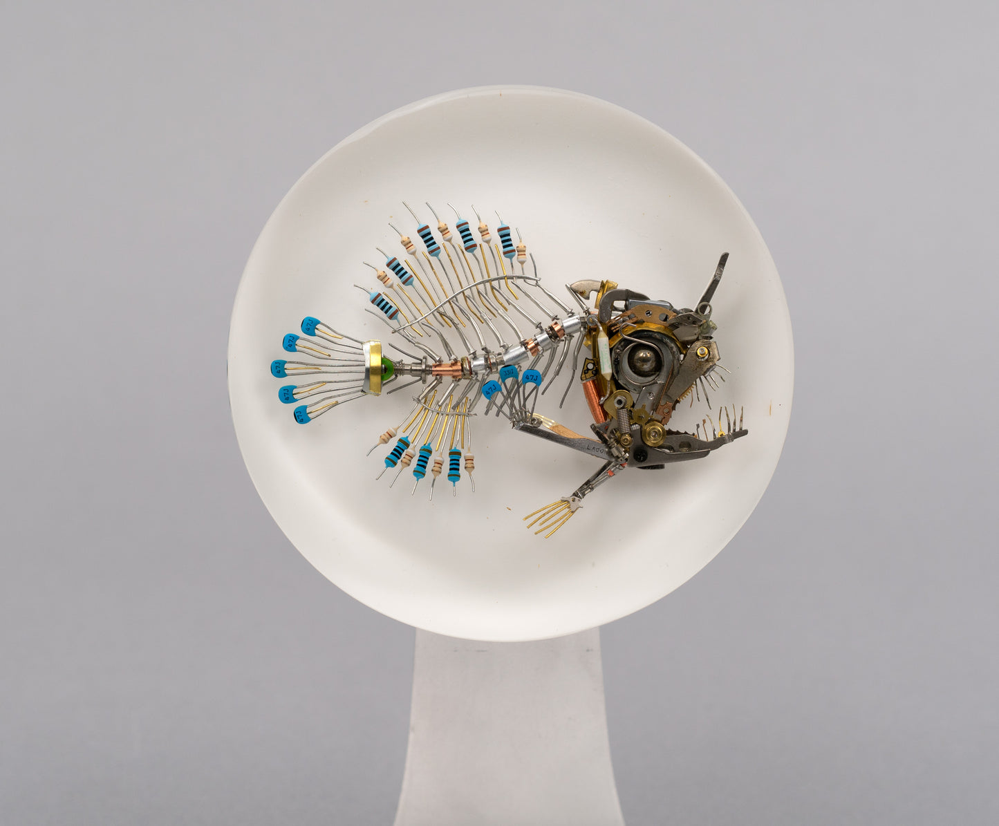 Azul Anglerfish, 2026