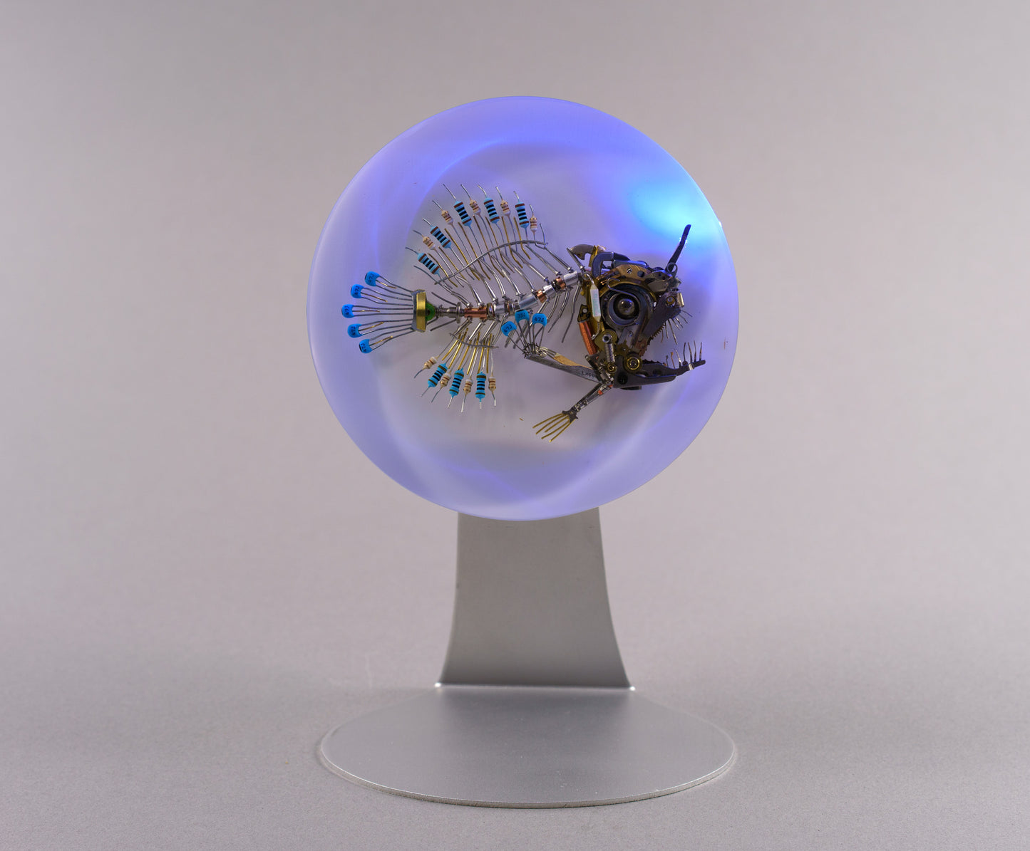 Azul Anglerfish, 2026