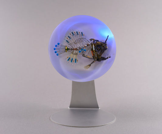 Azul Anglerfish, 2026