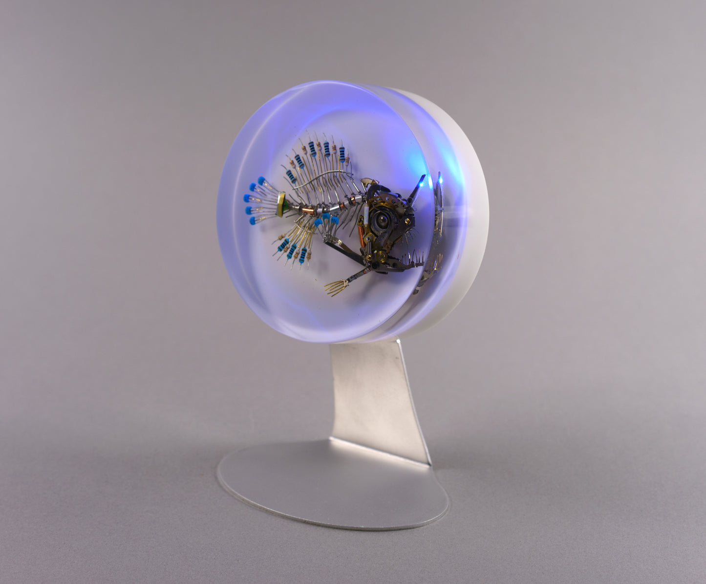Azul Anglerfish, 2026