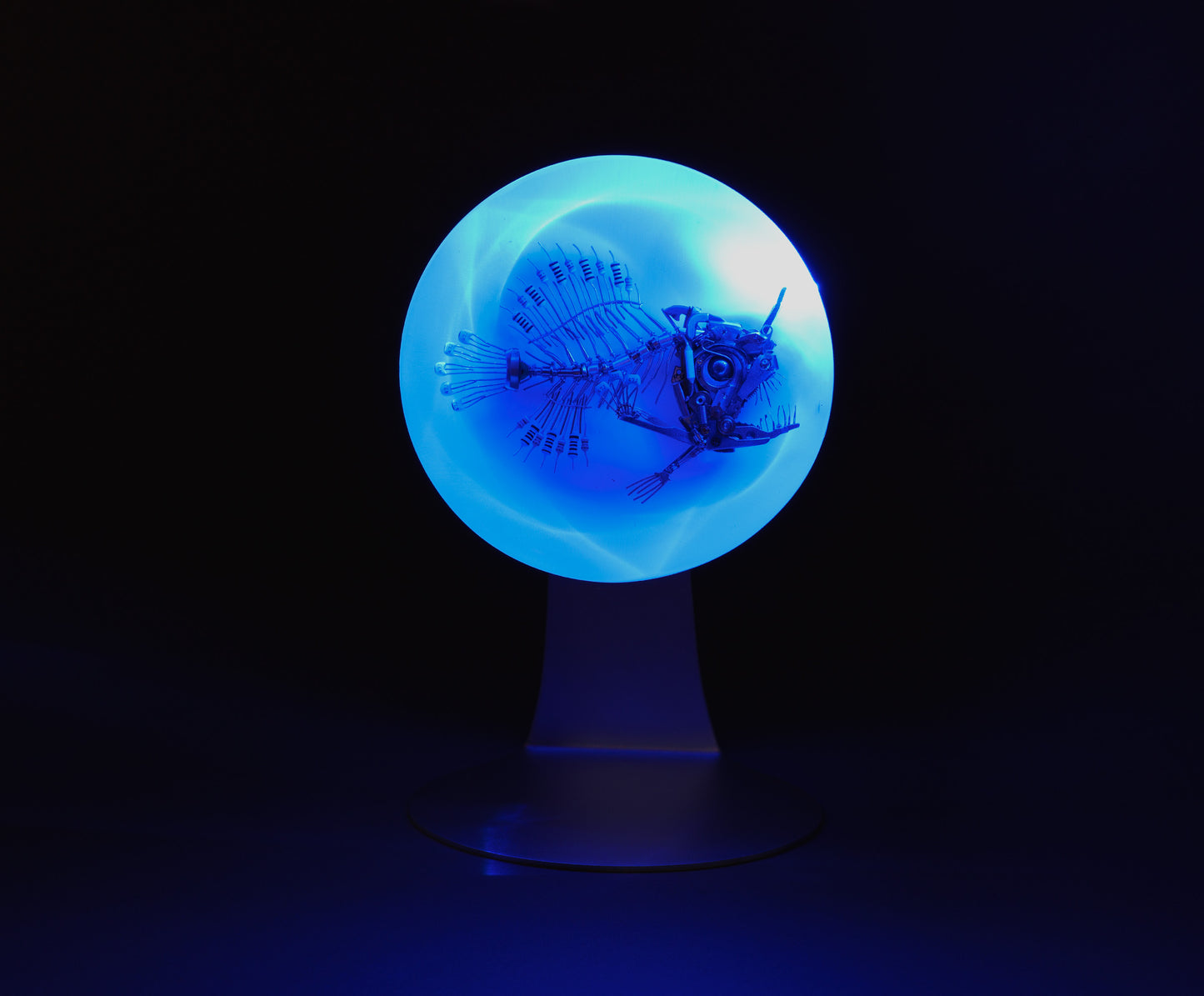 Azul Anglerfish, 2026
