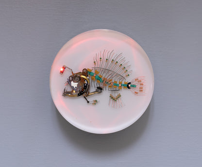 Siren Anglerfish, 2026