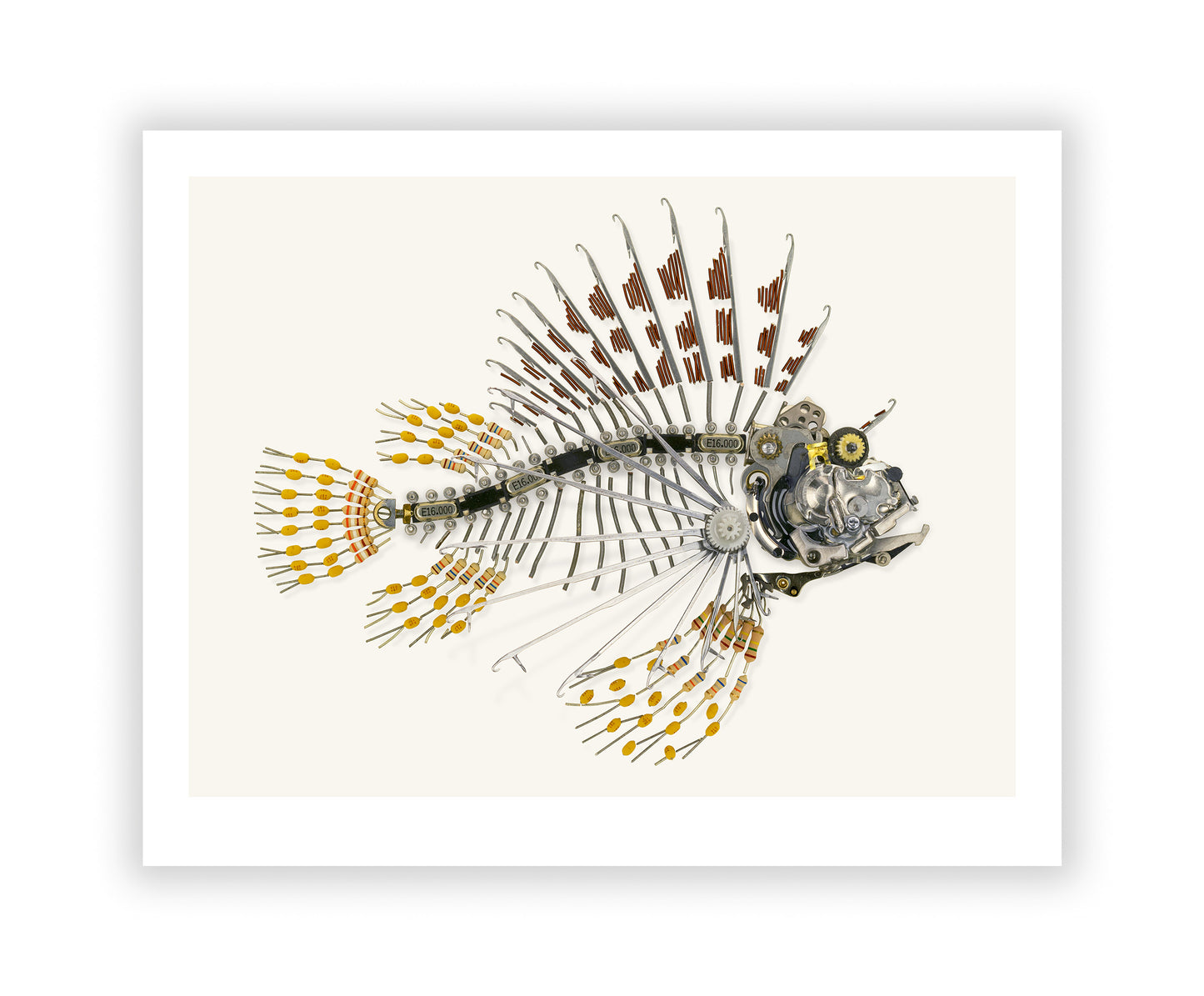 Lionfish Signed Fine Art Print (8 x 10)