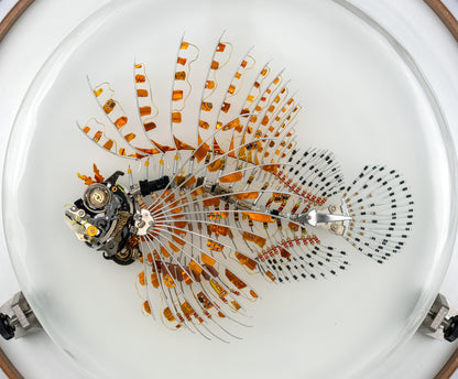 Kapton Lionfish, 2023