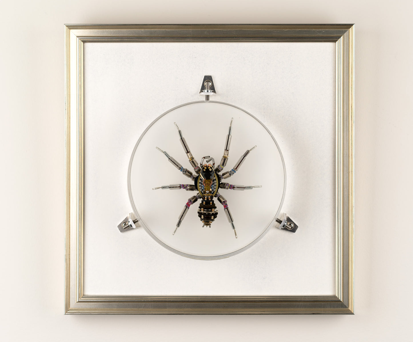 Lithium Lycosidae, 2023