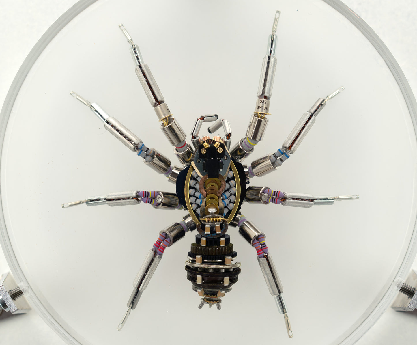 Lithium Lycosidae, 2023