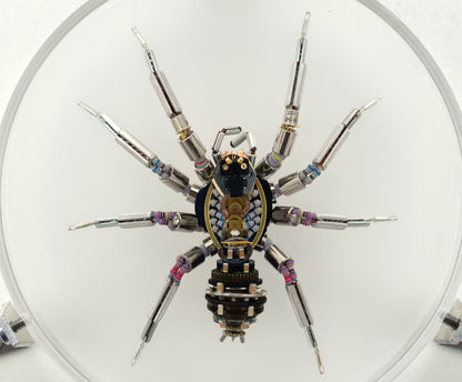 Lithium Lycosidae, 2023