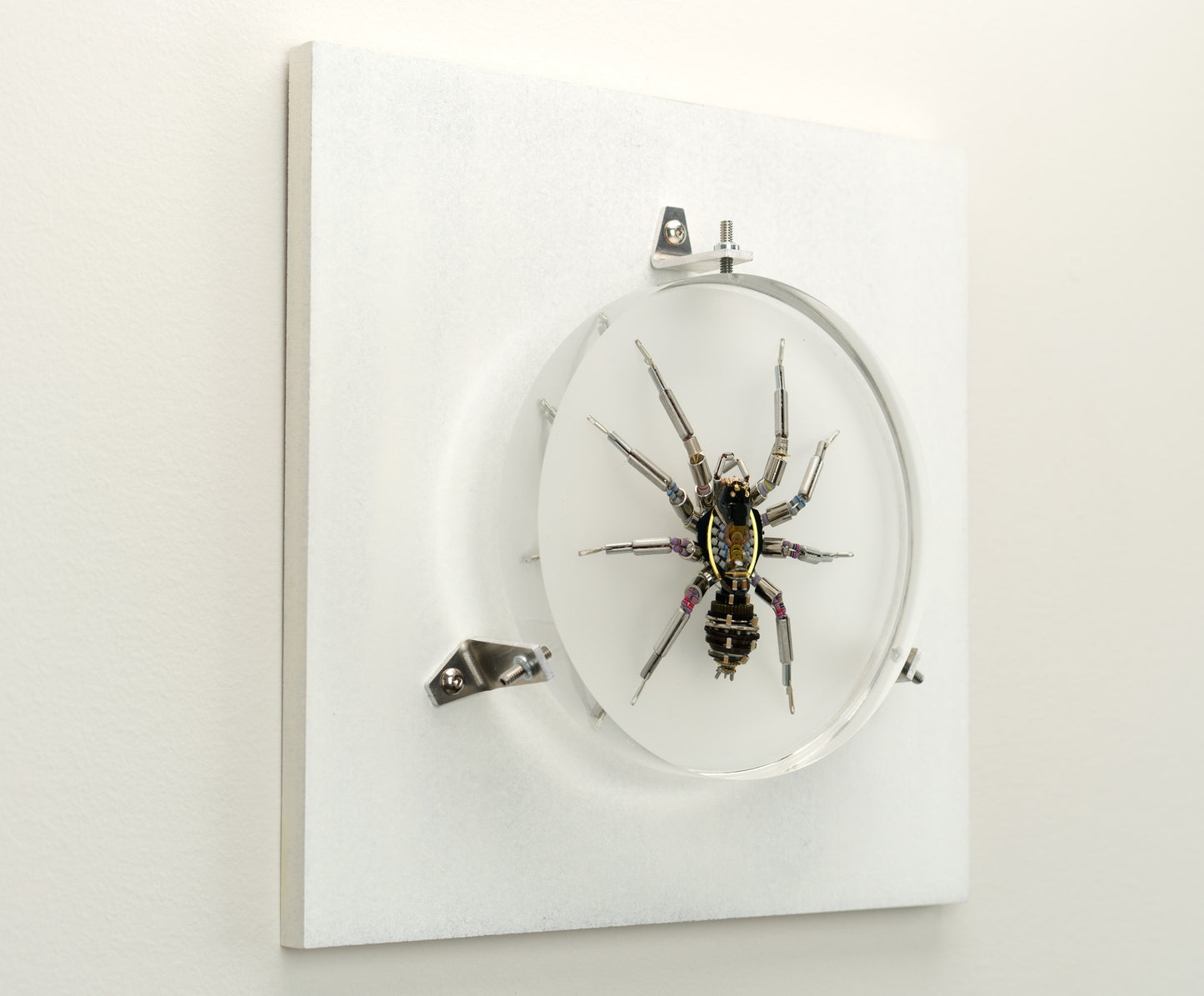 Lithium Lycosidae, 2023