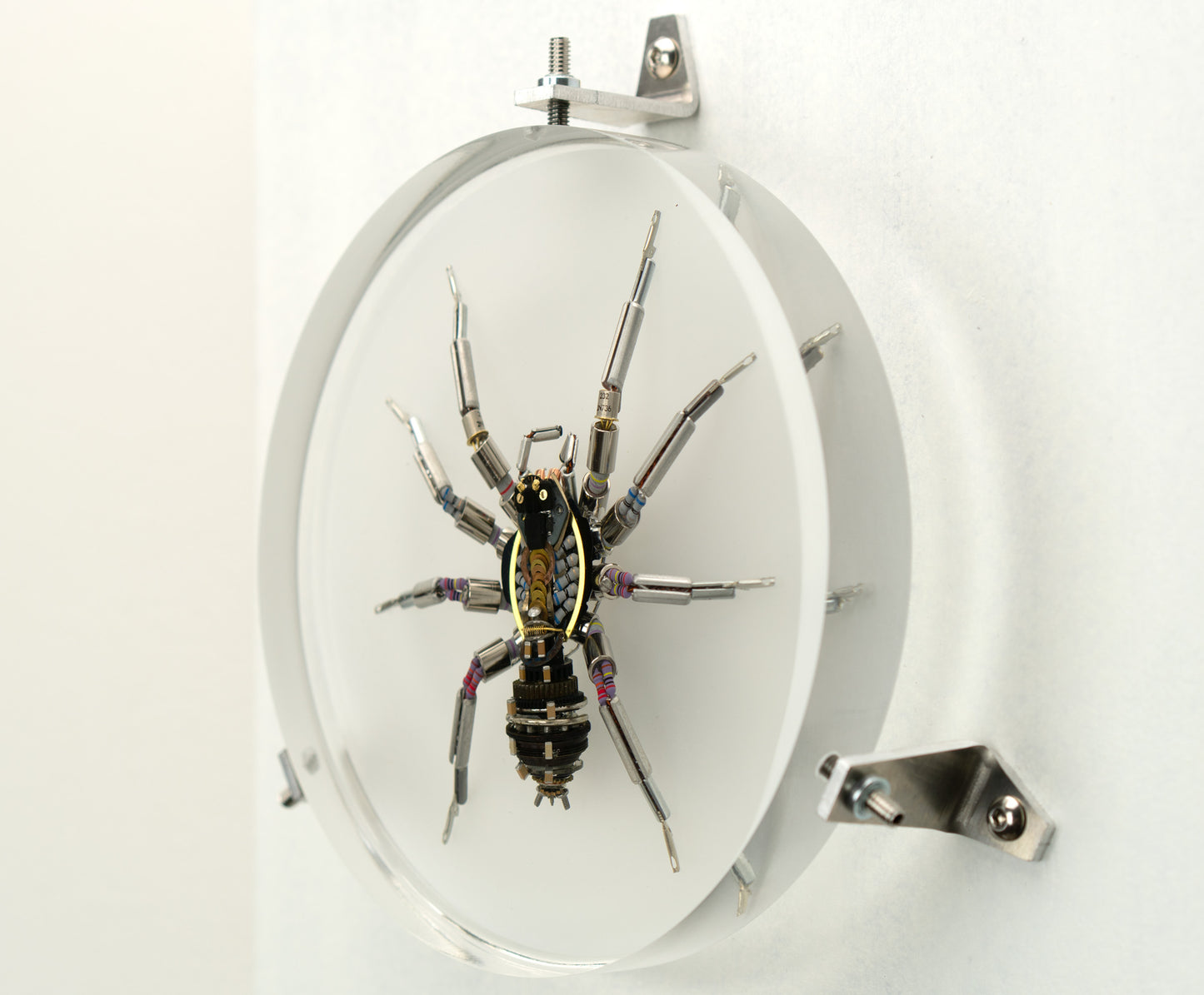 Lithium Lycosidae, 2023