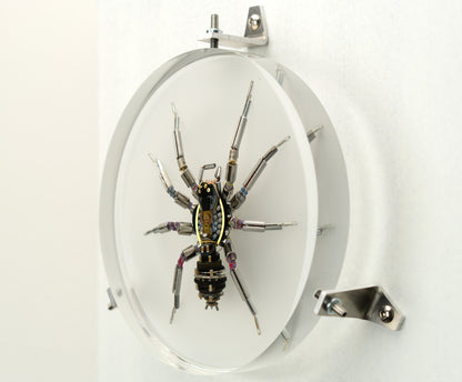 Lithium Lycosidae, 2023