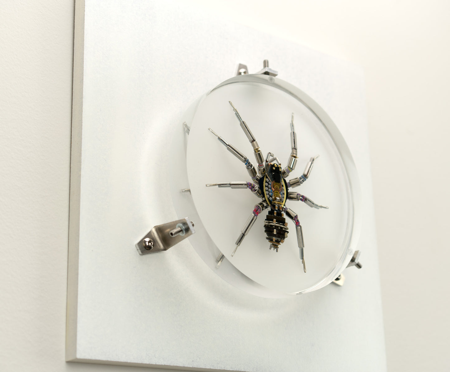 Lithium Lycosidae, 2023