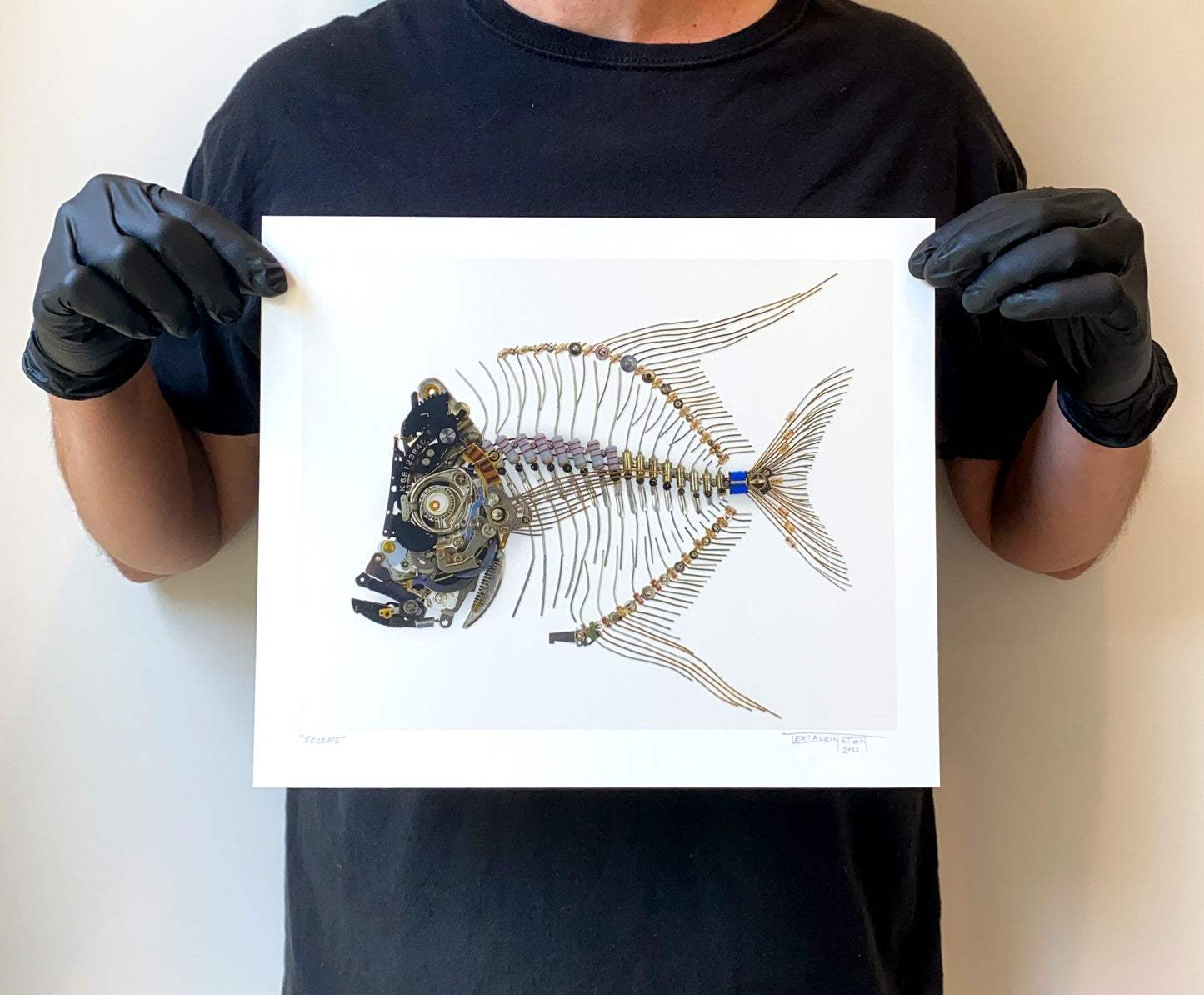 Lookdown Fish Signed Fine Art Print (12 x 10)
