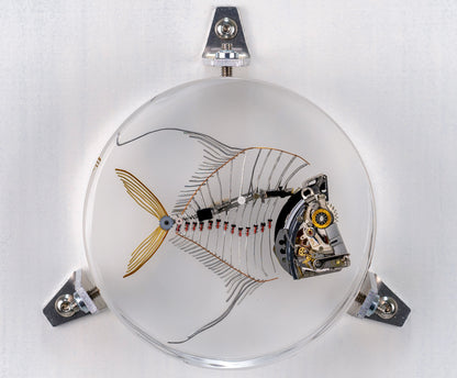 Lunar Lookdown Fish, 2023