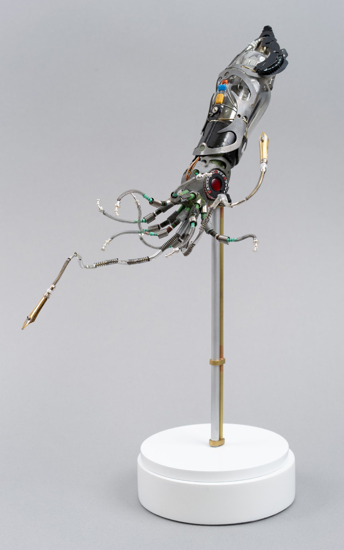Mighty Pen Squid, 2026
